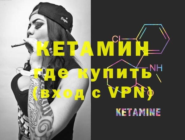 крисы Корсаков