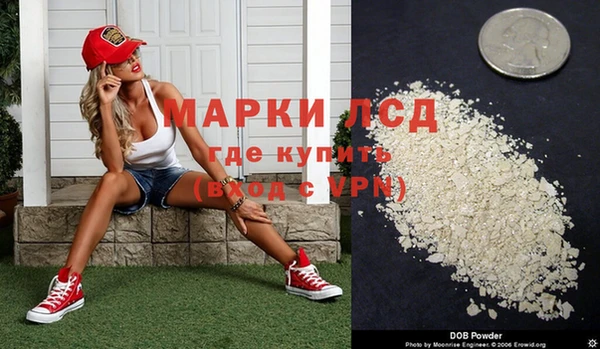 крисы Корсаков