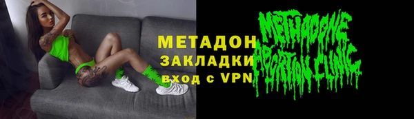 крисы Корсаков