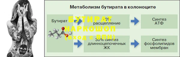 крисы Корсаков