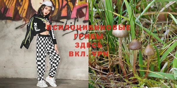 mix Костерёво