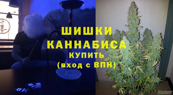 крисы Корсаков