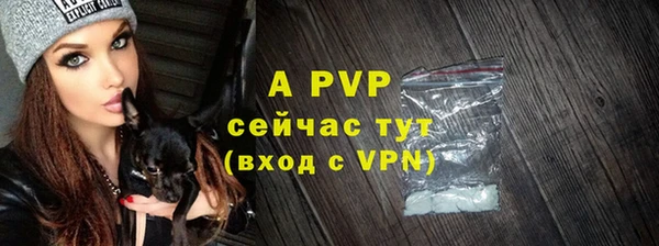крисы Корсаков