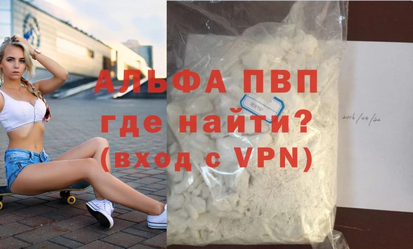 крисы Корсаков